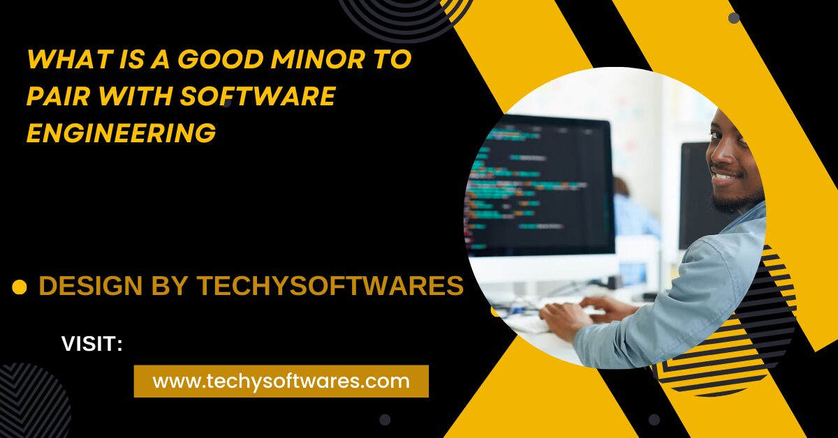 What Is A Good Minor To Pair With Software Engineering