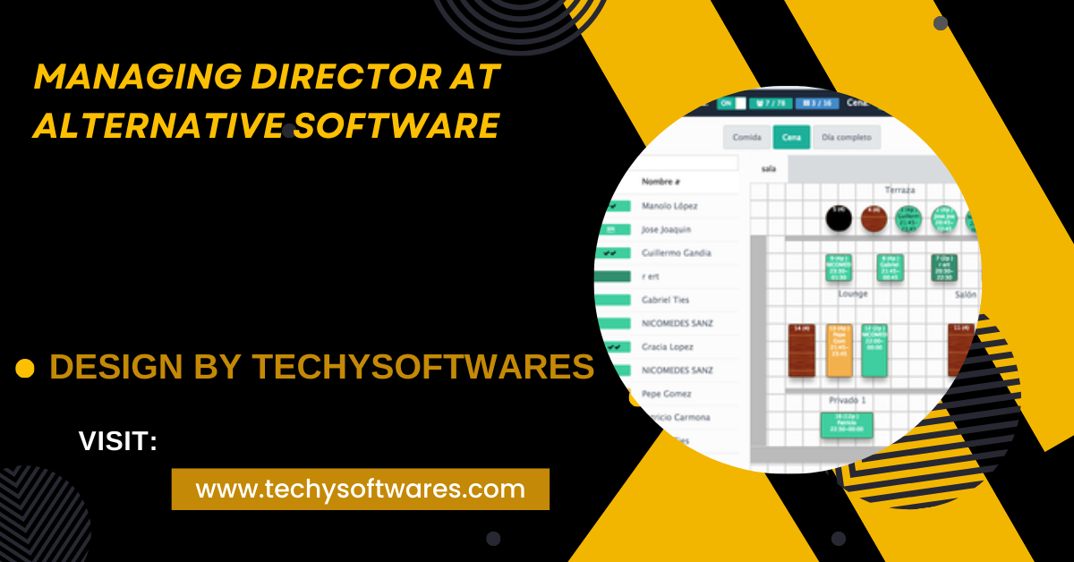 Managing Director At Alternative Software – A Detailed Guide!